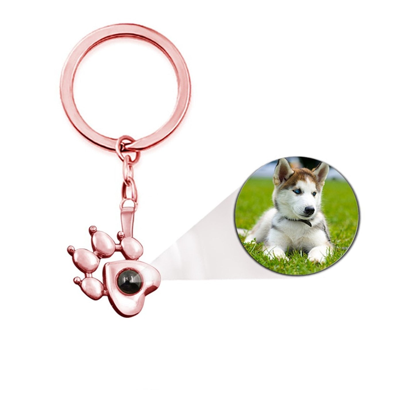 Animal photo key ring